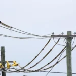 Queensland Electricity Bills to Fall 6.9% as Households Save $151 From July 1