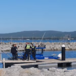 Albany Shark Attack: Diver Critically Injured After Suspected 4.5-Metre Shark Bite