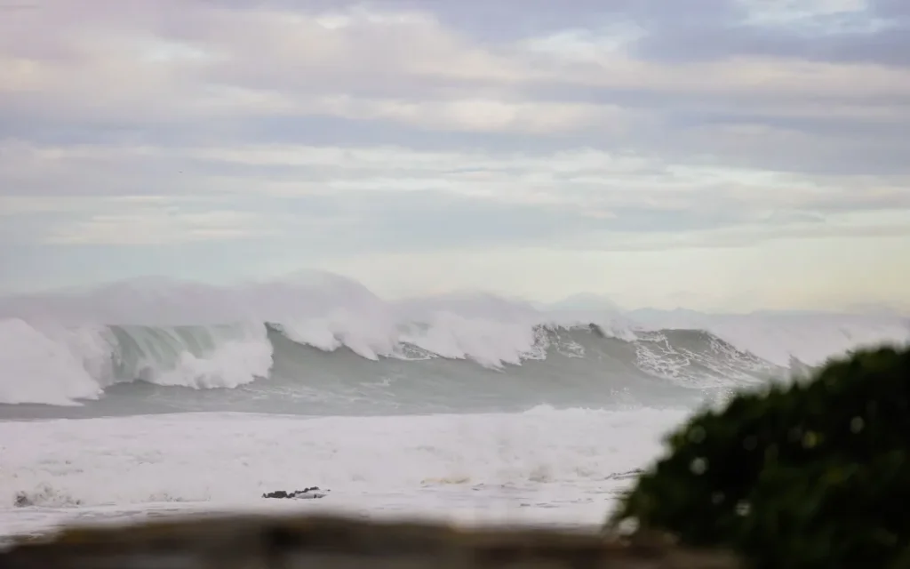 Wellington Declares State of Emergency as 10.5m Swells Force 350 Coastal Homes to Evacuate