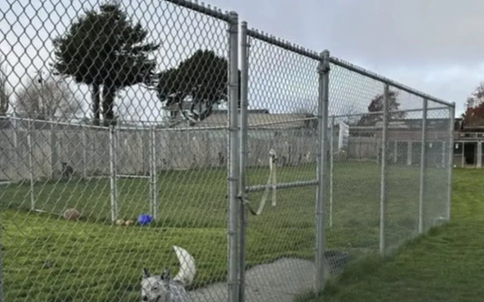 Investigators excavate suspected burial sites at Miranda's Rescue Animal Sanctuary in Humboldt County, California