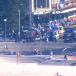 Sydney Shark Attack: Woman Critically Injured at Coogee Beach