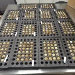 CBP Seizes 337 Hatching Eggs Hidden in Winter Jacket Shipment From Germany