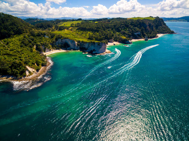 Remote Coromandel island coastline