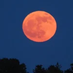 June Strawberry Moon 2026 glowing orange above a dark tree-lined horizon during twilight as the rare full micromoon rises in the evening sky