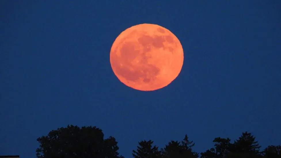 June Strawberry Moon 2026 glowing orange above a dark tree-lined horizon during twilight as the rare full micromoon rises in the evening sky