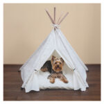 Aldi Launches $20 Cozy Pet Bed Tent for Cats and Dogs, Ideal for Summer Travel