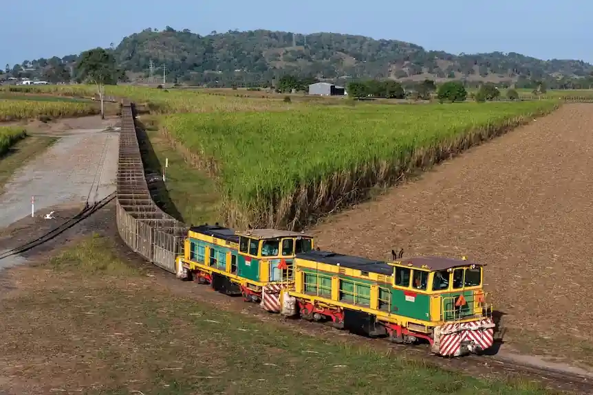 Mackay Sugar cane train and sugarcane fields in Queensland