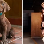 Netflix Reveals First-Ever Real Scooby-Doo Dog in Live-Action Origins Series