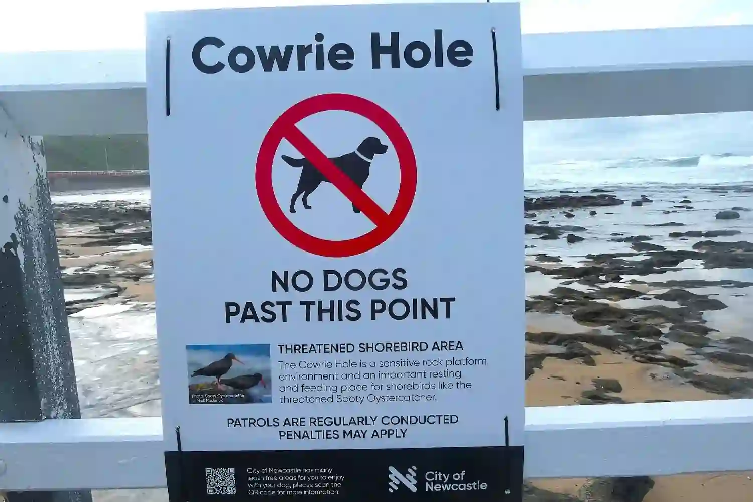 Warning sign at Cowrie Hole advising visitors not to take dogs into protected shorebird habitat near Newcastle Beach