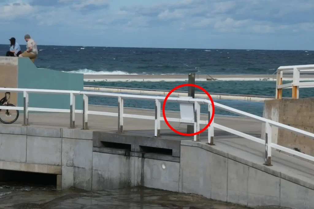 Aussies Ignore $330 Fine Warning as Threatened Birds Face Risk at Newcastle Beach