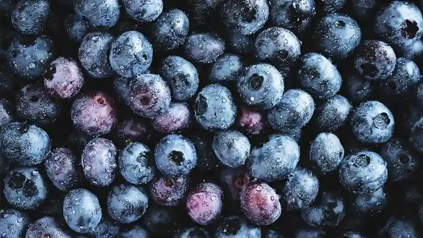 Close-up of fresh blueberries representing the Publix Frozen GreenWise Organic IQF Blueberries recall over possible E. coli contamination.