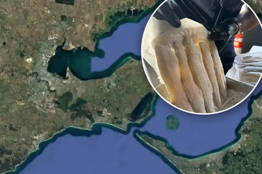 Authorities seized illegally imported seafood after uncovering a secret fish trafficking operation linked to a Melbourne restaurant.