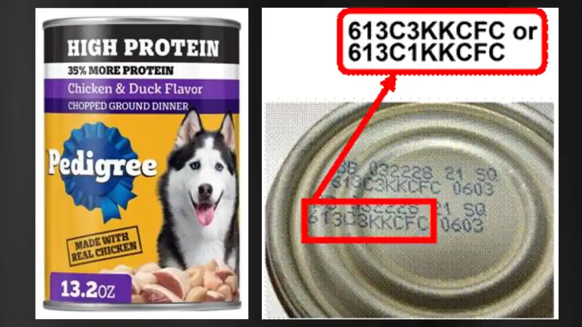Pedigree High Protein Chopped Chicken & Duck wet dog food recall showing the affected 13.2 oz can and recalled lot codes 613C3KKCFC and 613C1KKCFC.