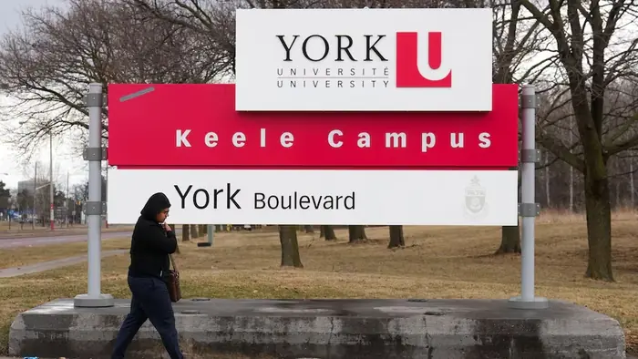 York University Medical School Gets $55.8M: