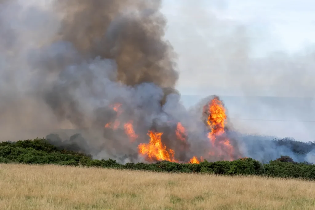 Hopeman Fire Today: Huge Blaze Near Caravan Park Leaves Hundreds Without Power