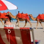 Cable Beach Camel Accident: Two Tourists Injured During Broome Sunset Ride