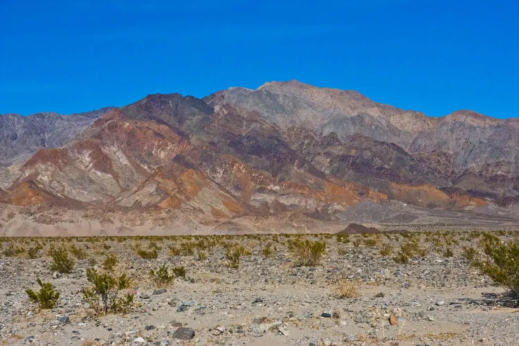 French Tourist Dies in Death Valley After Car Gets Stuck in Mud During 116°F Heat