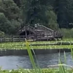 Woman Fined $1,000 After Viral Abbotsford Littering Videos at Mill Lake and Near School
