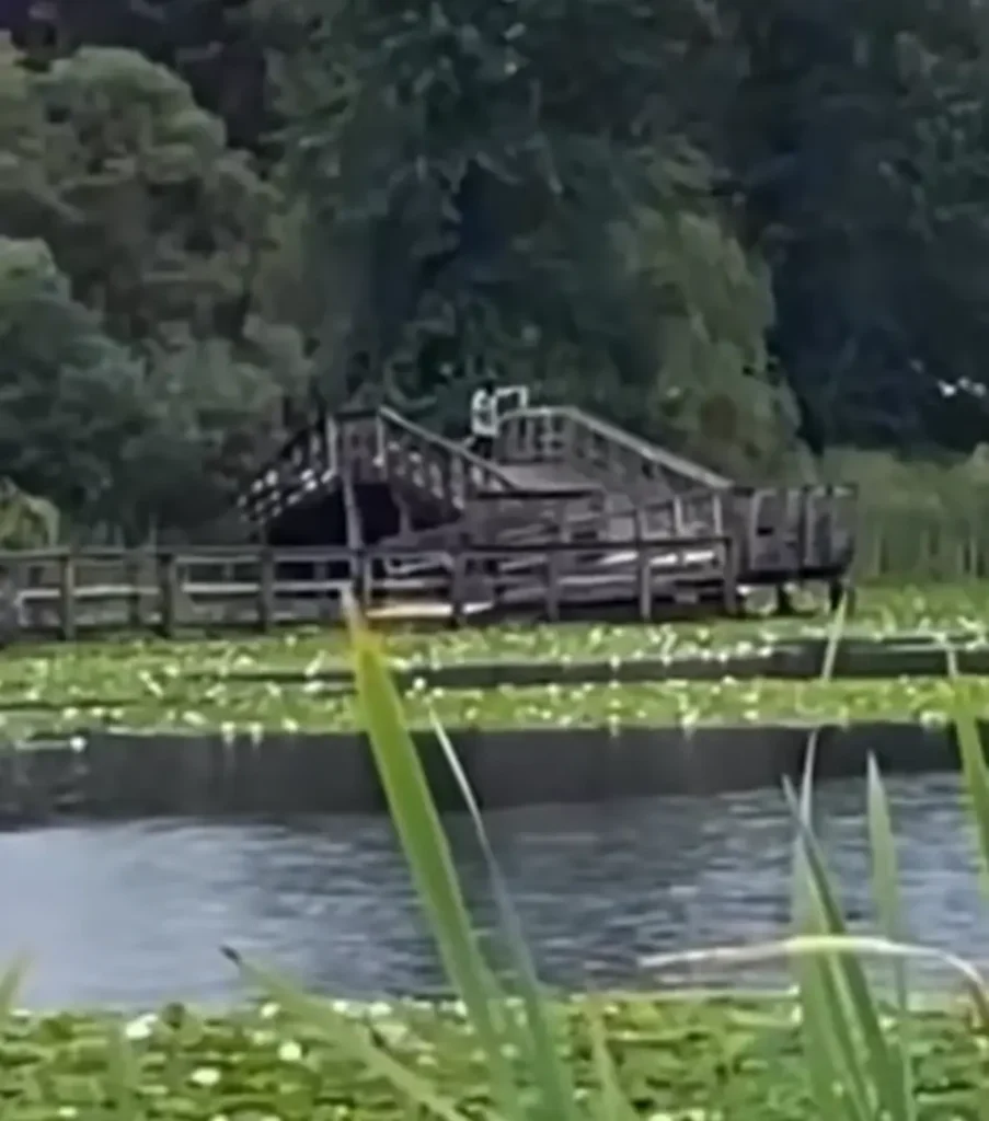 Woman Fined $1,000 After Viral Abbotsford Littering Videos at Mill Lake and Near School