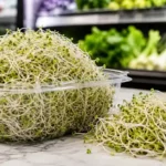 Alfalfa sprouts linked to E. coli and Salmonella outbreak in Minnesota and Wisconsin