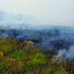 Belgium Wildfire Latest: Rain Brings Hope After Record Blaze Burns 3,000 Hectares