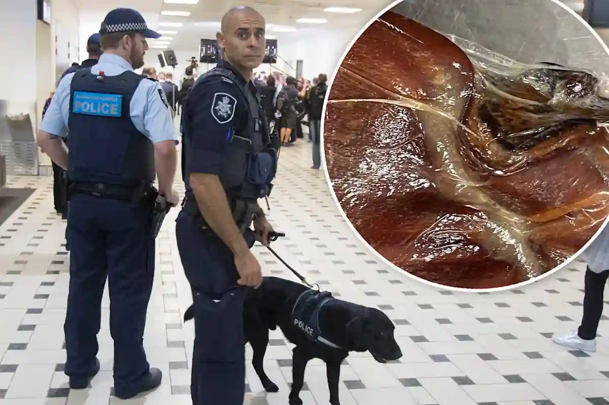 Traveller Fined $3,960 After Ham Hock Found in Luggage at Brisbane Airport