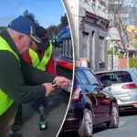 Victorian Drivers Offered Free Car Security Upgrade as Number Plate