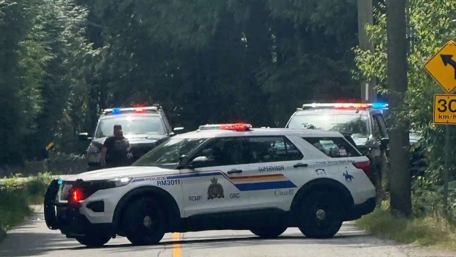Maple Ridge Bear Attack: Father Saves 3-Year-Old Daughter as Search Continues