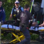 Valley Heights Stabbing: Child Dead, Three Critical in NSW, Australia