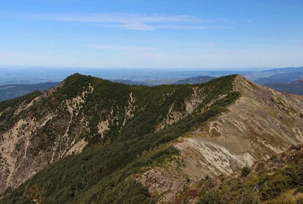 Kaweka Forest Park Rescue: Injured Mother and 3 Children Airlifted to Safety