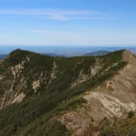 Kaweka Forest Park Rescue: Injured Mother and 3 Children Airlifted to Safety