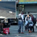 3 Men Stabbed in Crown Heights Ahead of West Indian Day Parade in Brooklyn