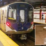 Man Dies After Backpack Gets Caught in Brooklyn Subway Doors