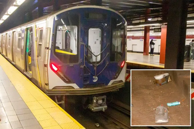Man Dies After Backpack Gets Caught in Brooklyn Subway Doors
