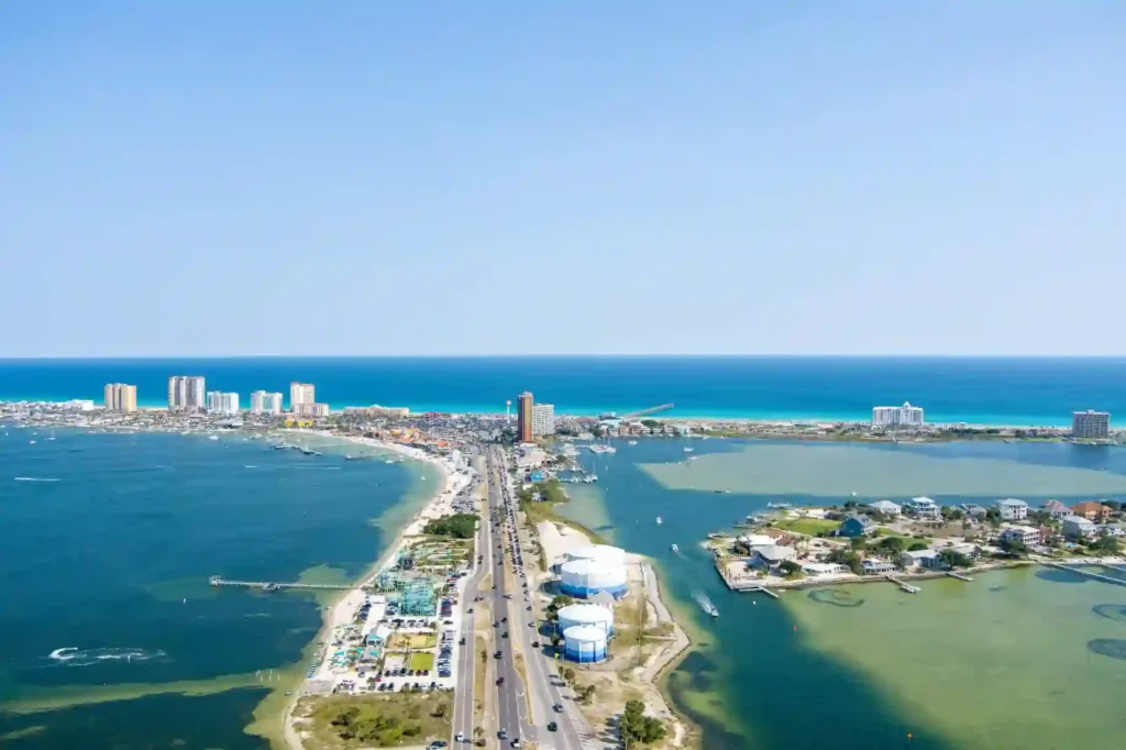Florida Shark Attack