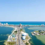 Florida Shark Attack
