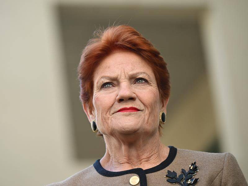 Pauline Hanson superannuation plan