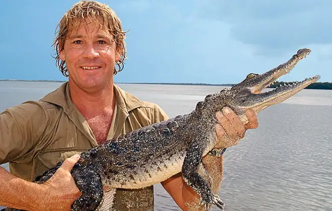 Steve Irwin remembered on his 20th death anniversary as Bindi and Robert Irwin continue his wildlife legacy