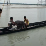 Baby Elephant Swept Down Teesta Rescued, Reunited With Mother