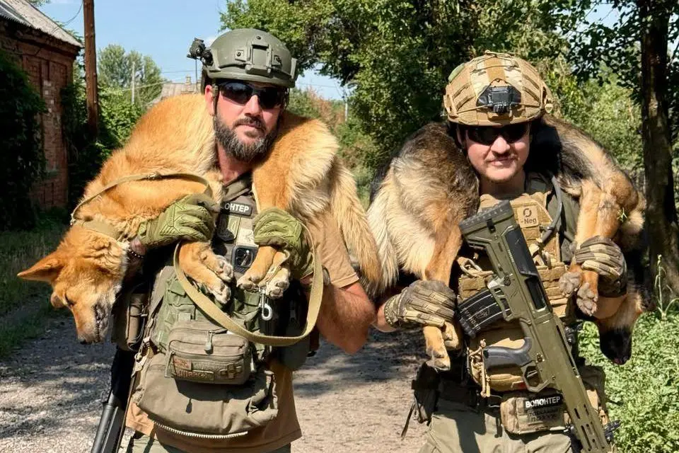 Jesse Adams Killed in Ukraine: Canadian Animal Rescuer Dies Days After Drone Close Calls