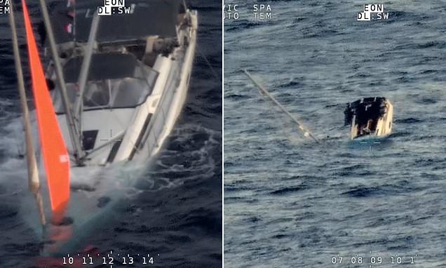 Yacht involved in South Pacific whale collision