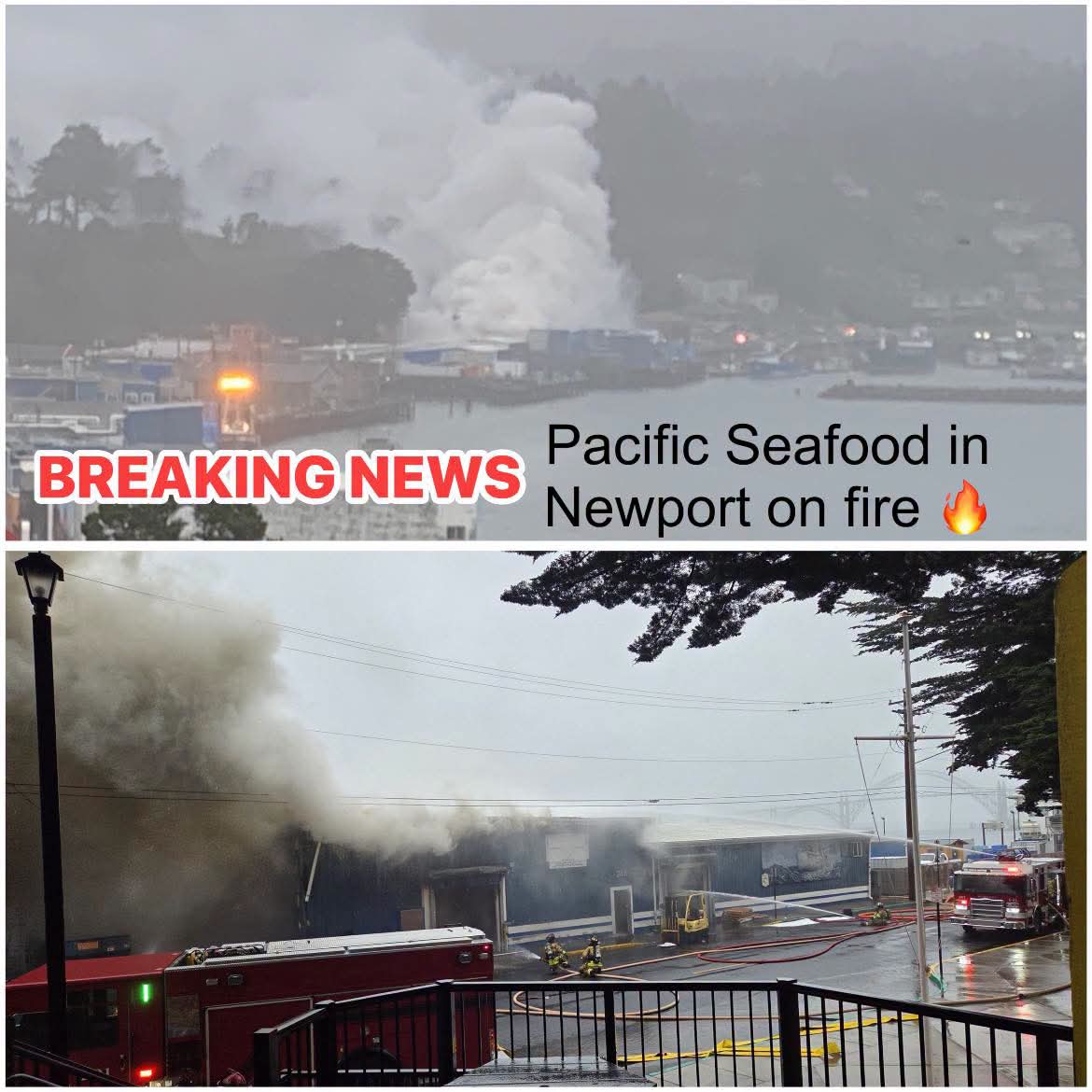 Major fire at Pacific Seafood facility in Newport, Oregon, amid reports of an ammonia tank explosion