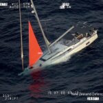 Sperm Whale Sinks 51-Foot Yacht in South Pacific as Four Sailors Survive 18-Hour Ordeal