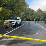 Central Park Cyclist Killed: 71-Year-Old Dies After Colliding With Dog on East Drive