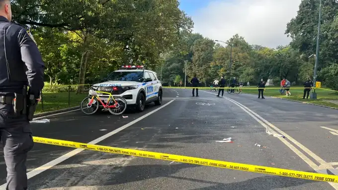 Central Park Cyclist Killed: 71-Year-Old Dies After Colliding With Dog on East Drive