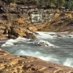 Coogee and Maroubra Beaches Closed After Dead Whale Sparks Shark Fears in Sydney