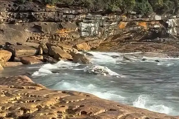 Coogee and Maroubra Beaches Closed After Dead Whale Sparks Shark Fears in Sydney