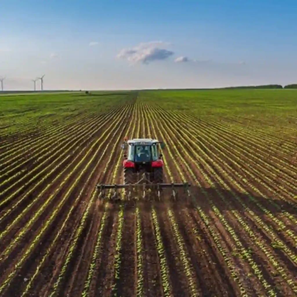 Texas H-1B Crackdown: Agriculture Grants Cut for Employers Hiring Foreign Workers