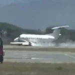 Safari Plane Hits Zebra During Serengeti Takeoff, All 30 Survive Belly Landing