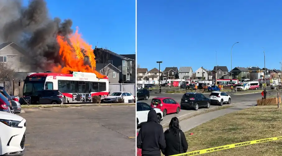 Calgary Transit bus fire near Saddletowne Station following a deadly eight-vehicle collision in northeast Calgary.